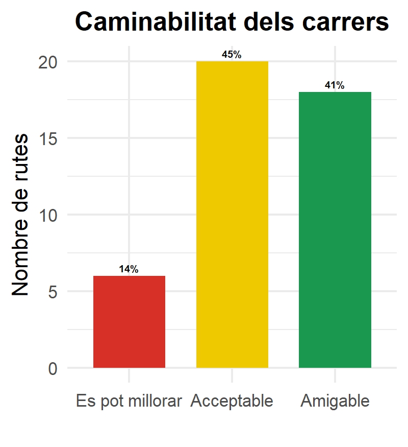 Treball de camp — carrer